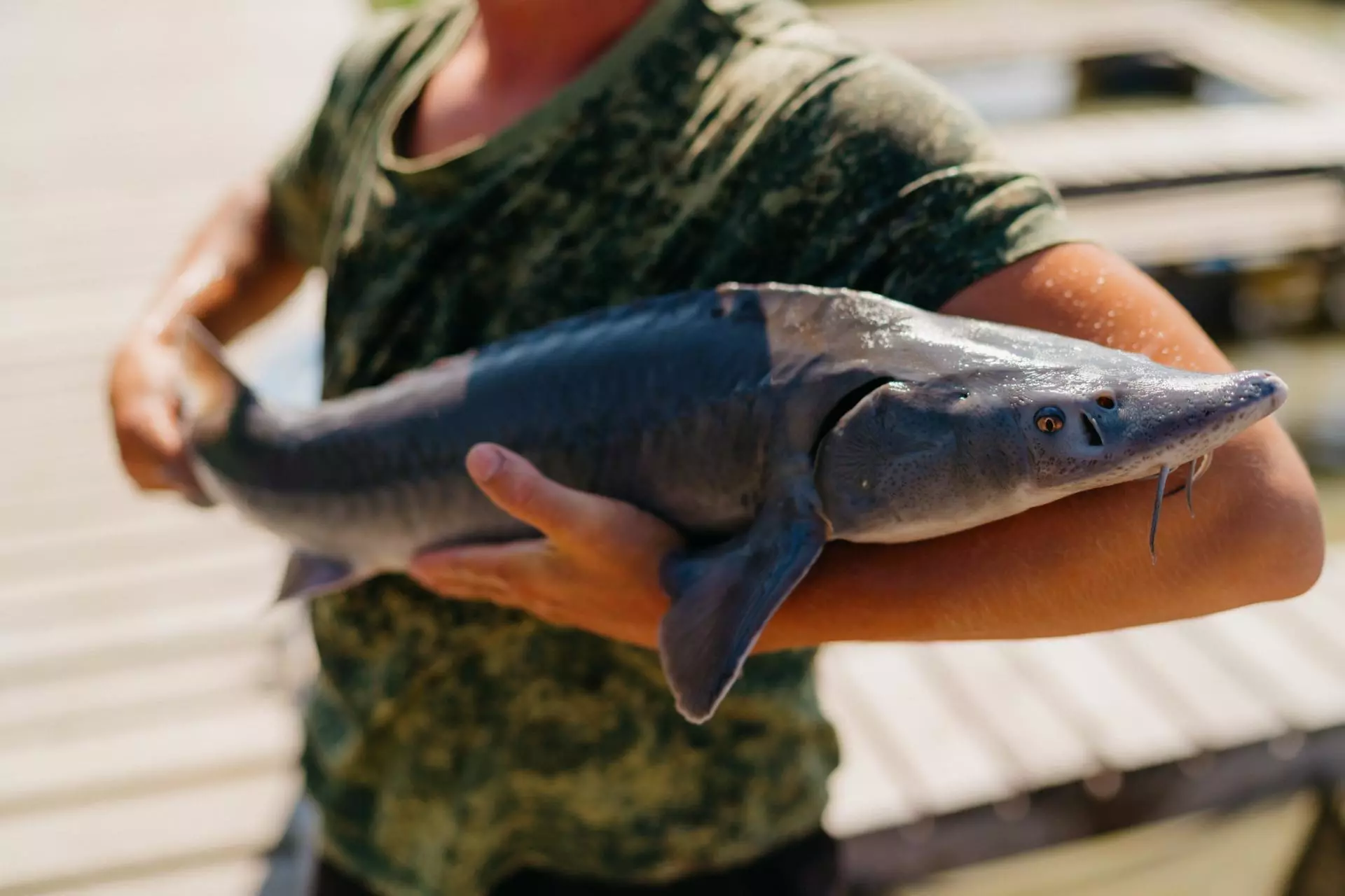 Территория семейного отдыха «Фишпарк»