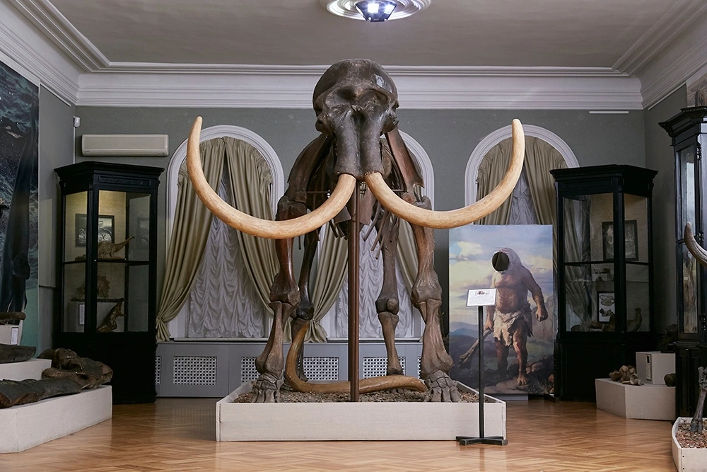 Губернский музей