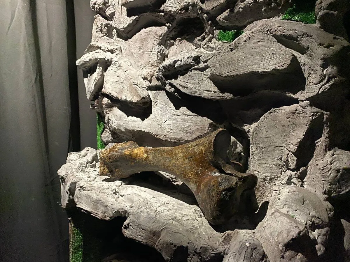 Настоящая пещера и скелет мамонта: контактный музей в Тобольске