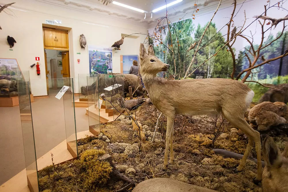 Исторический курьез 2