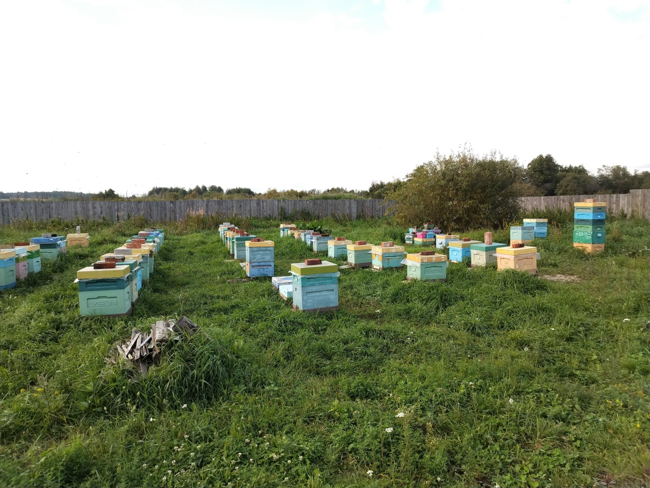 Экскурсия «Едем к полосатым» - картинка 1