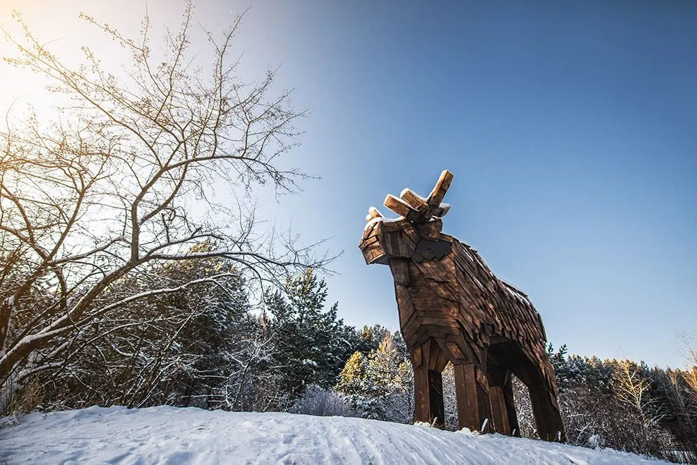 Куда сходить с детьми в Тюмени, пока город спит: топ мест для утреннего досуга