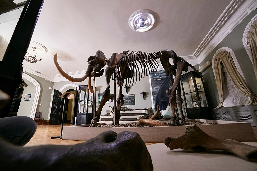 Губернский музей