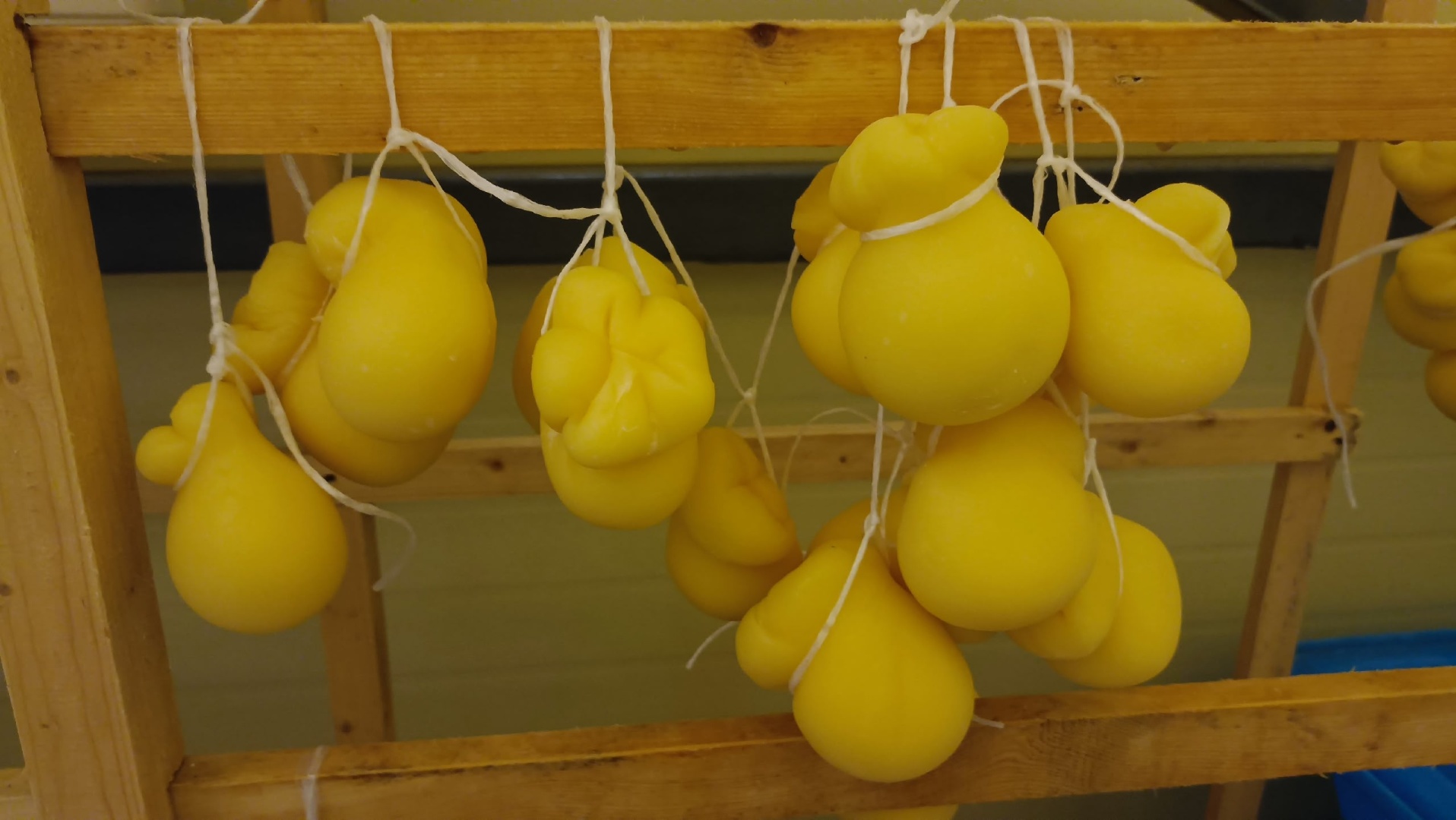 Экскурсия на сыроварню «Сырник» - картинка 1