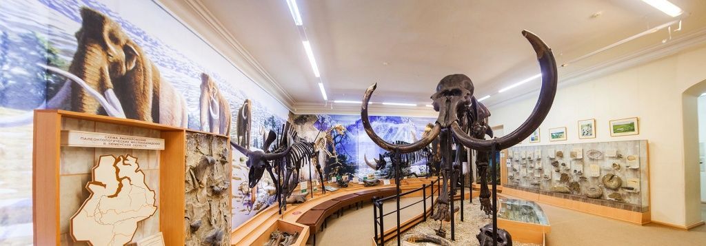                             Музеи и арт-пространства                          