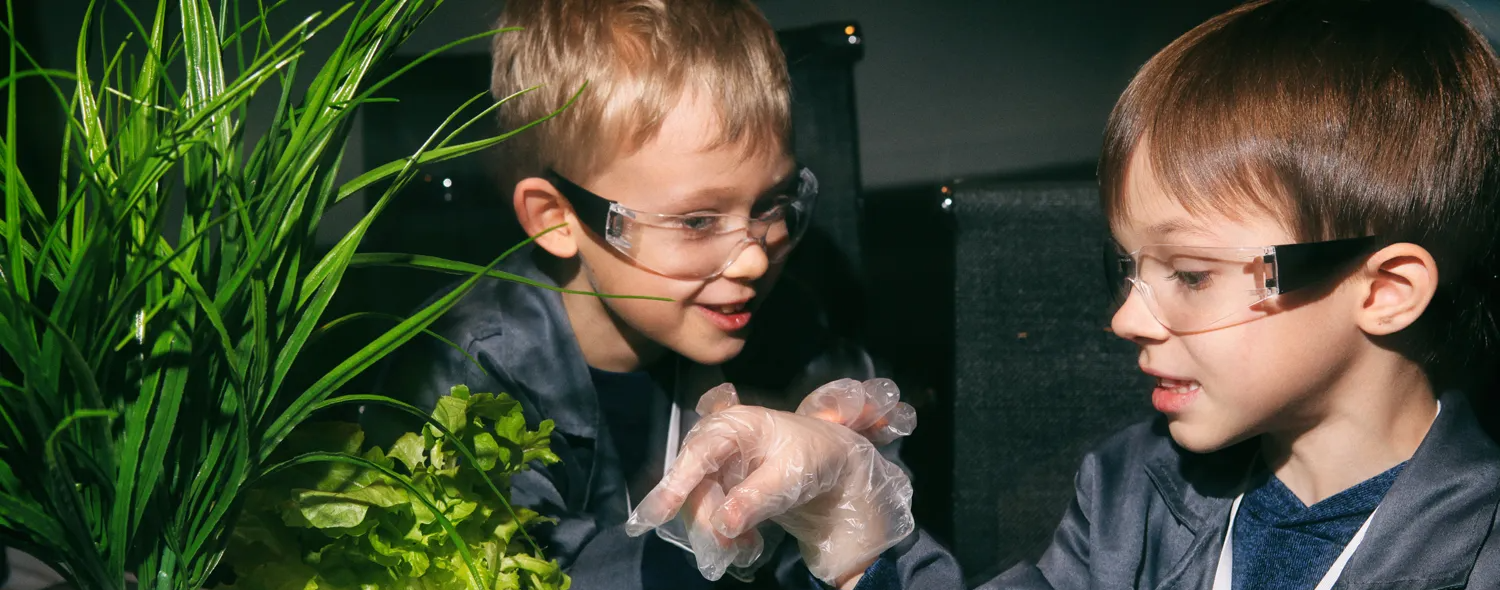 Интерактивная программа для детей «Биологические эксперименты»