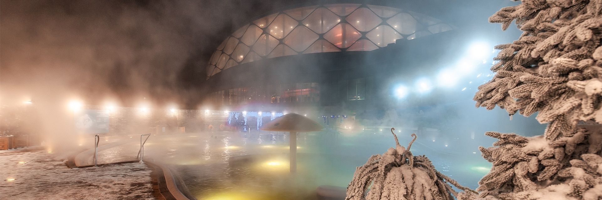 Зимние развлечения в Тюмени и за городом