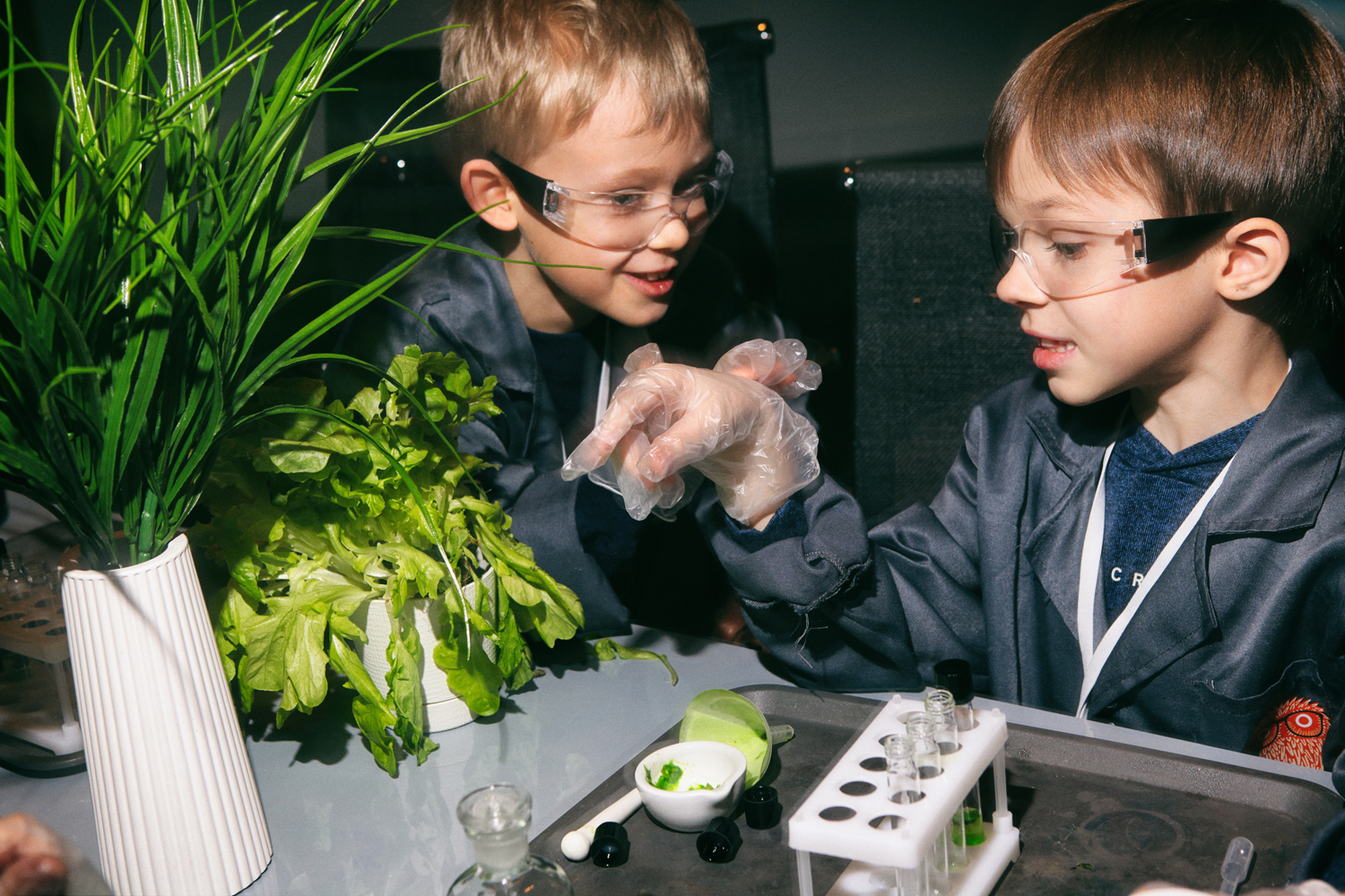 Интерактивная программа для детей «Биологические эксперименты»