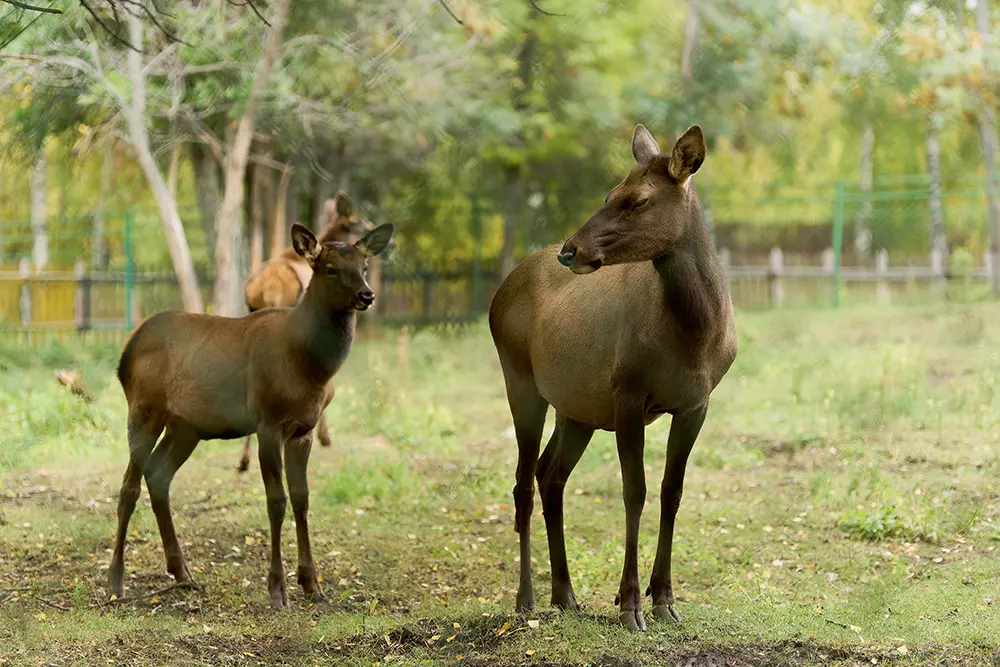 База отдыха «Акватория»