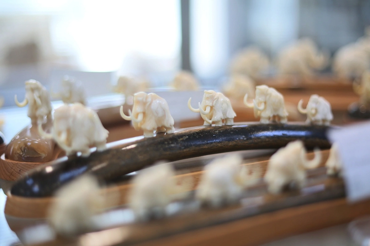 Культурный Тобольск за два дня 6