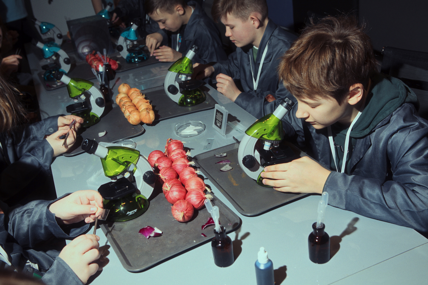 фотография - 4