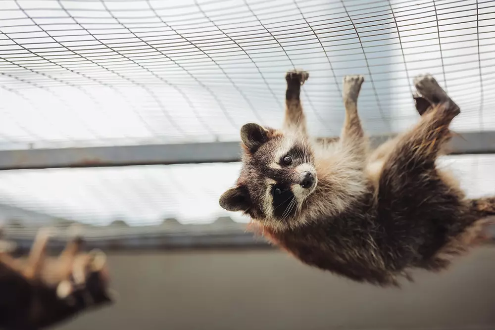 Где и как отдохнуть в Тюмени зимой 11