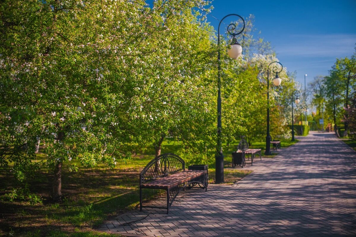 топ-7 парков 7