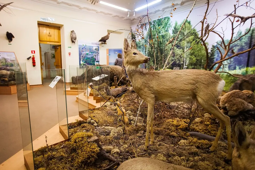 Музей «Городская дума»