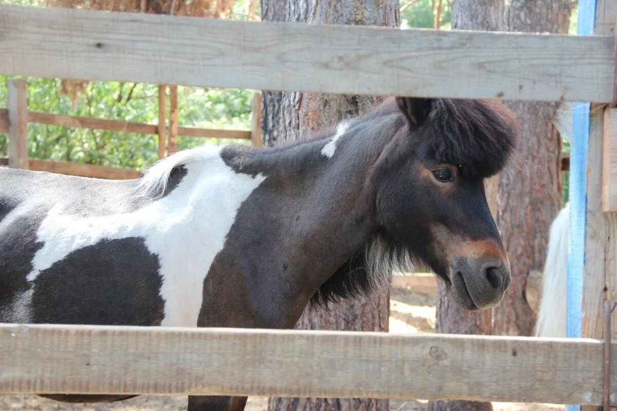 Оазис у озера в Тюмени 11
