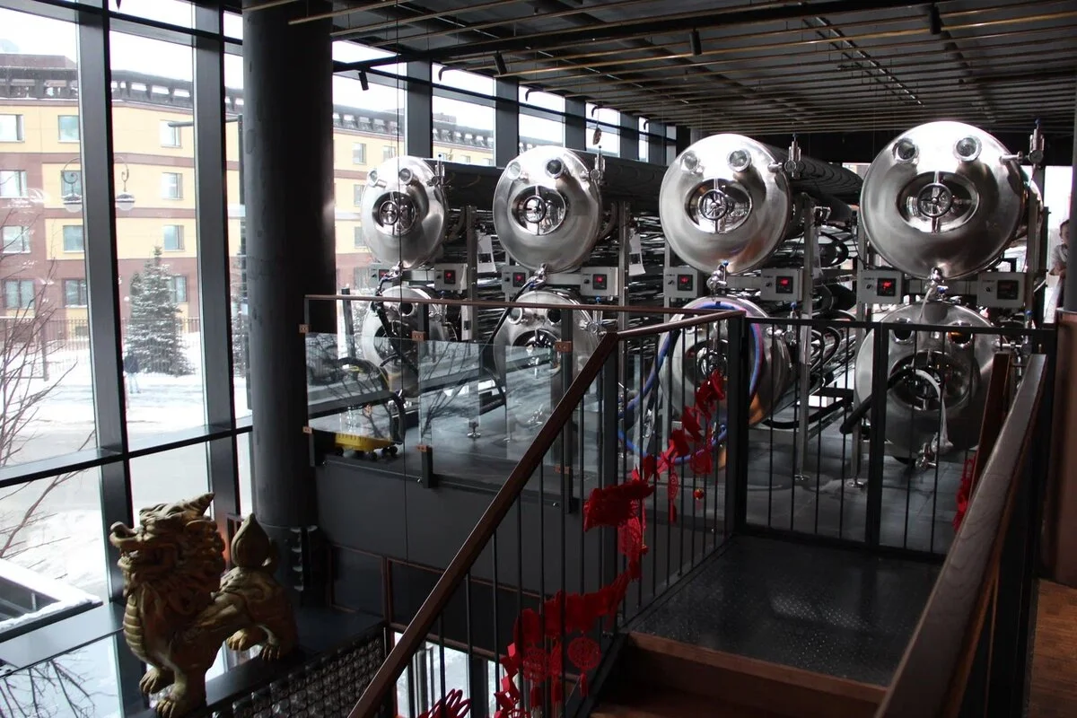 Brews Lee в Тюмени 5