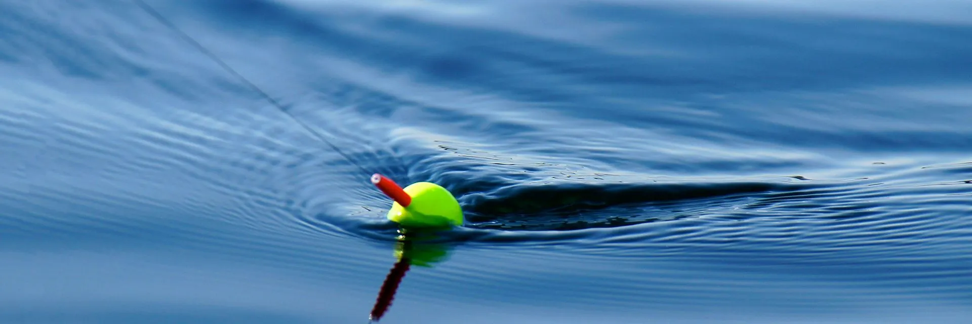 Клевое место: где порыбачить рядом с Тюменью бесплатно и за деньги