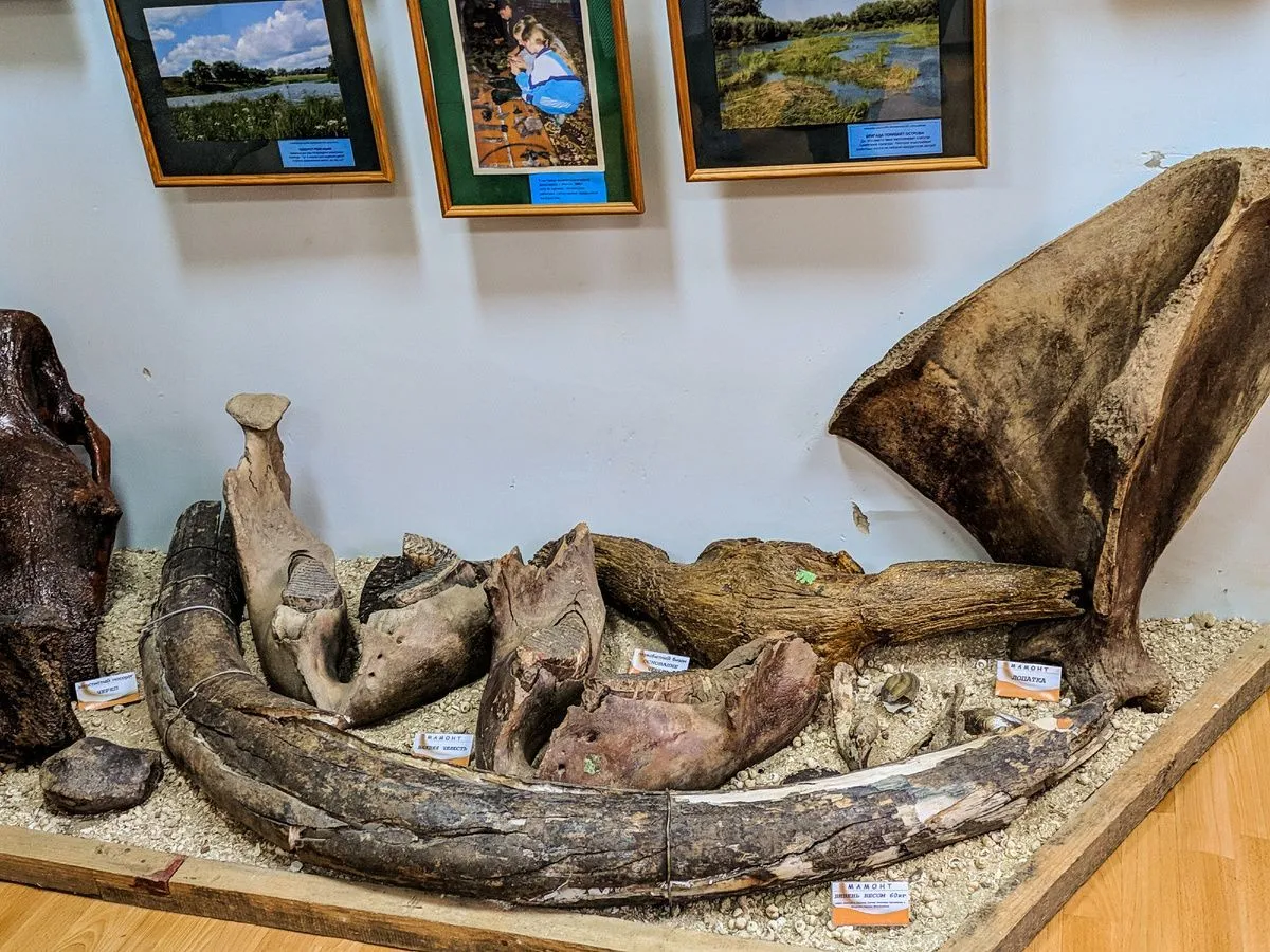 Машина времени в Сибири 2