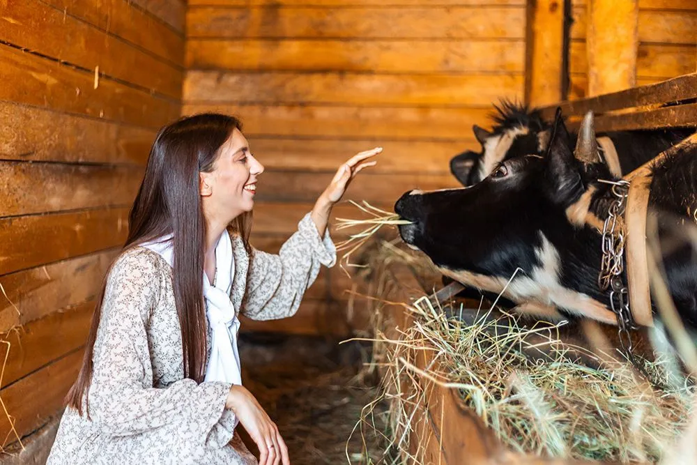 Туристический маршрут «Семь деревень» - картинка 1