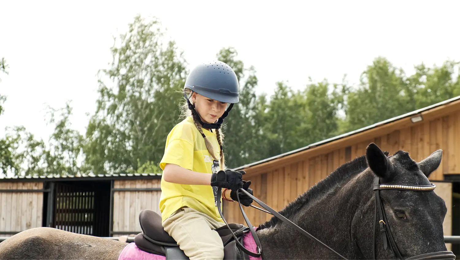 Экскурсия «От Орловского рысака до Конька-Горбунка» - картинка 1