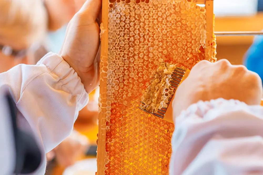 Экскурсия «Семь деревень» - картинка 1