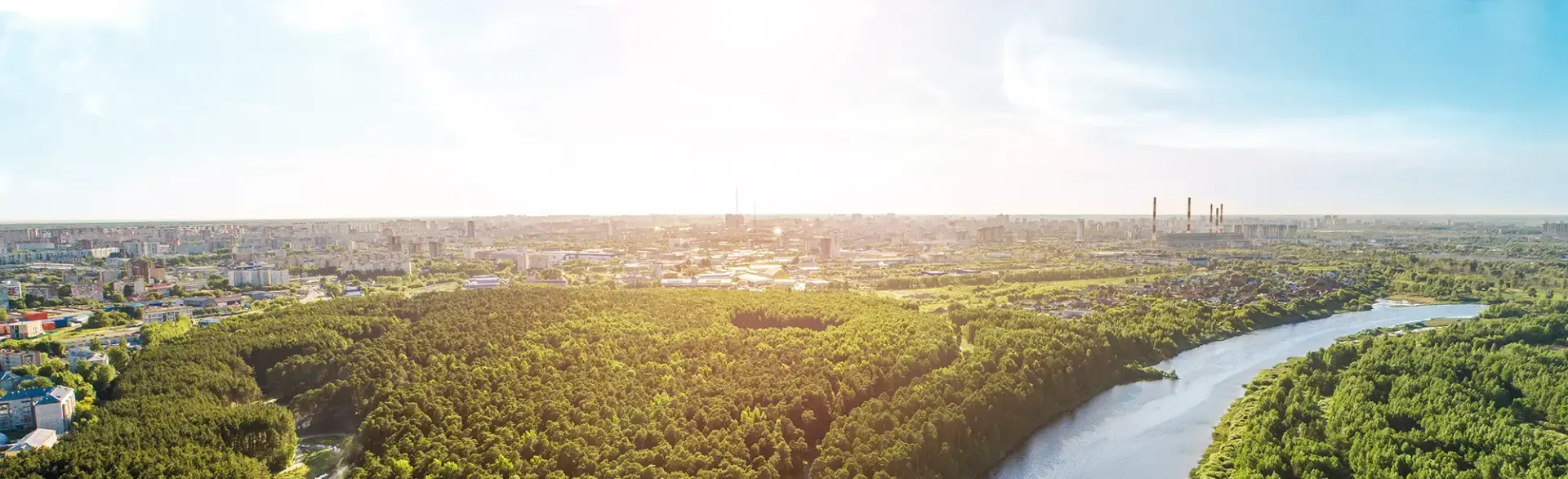 Гилевская роща