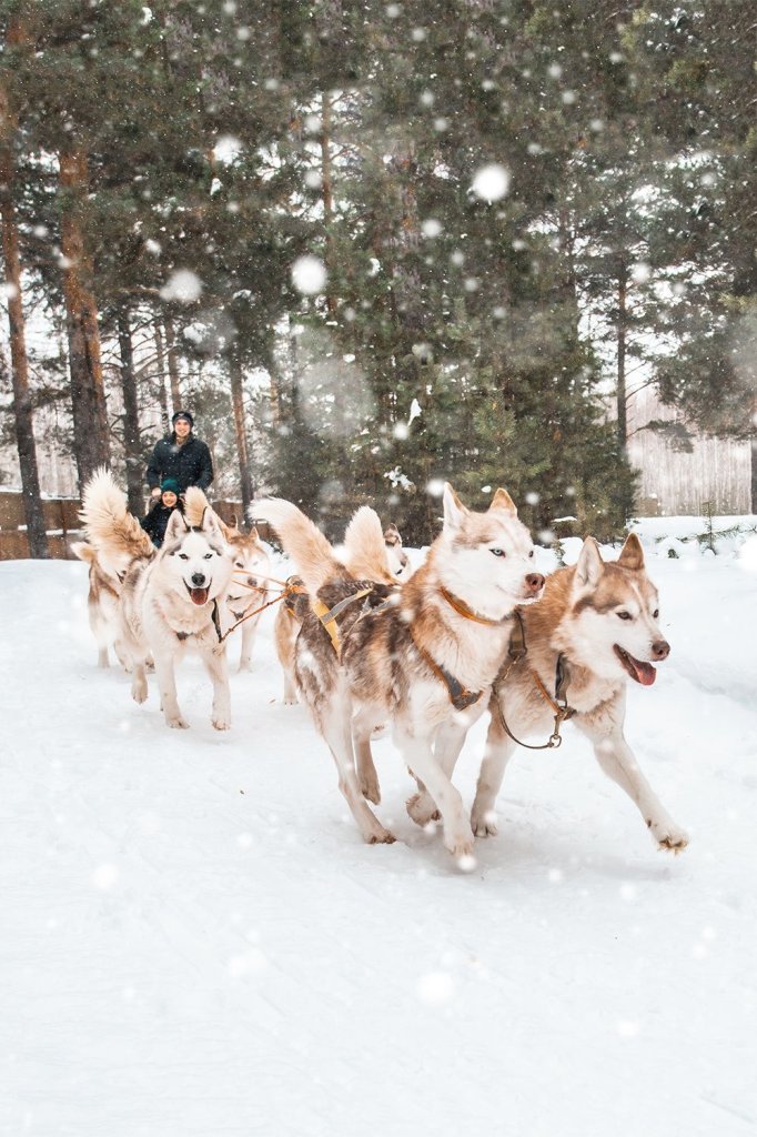 Зимние развлечения в Тюмени и за городом 4-1
