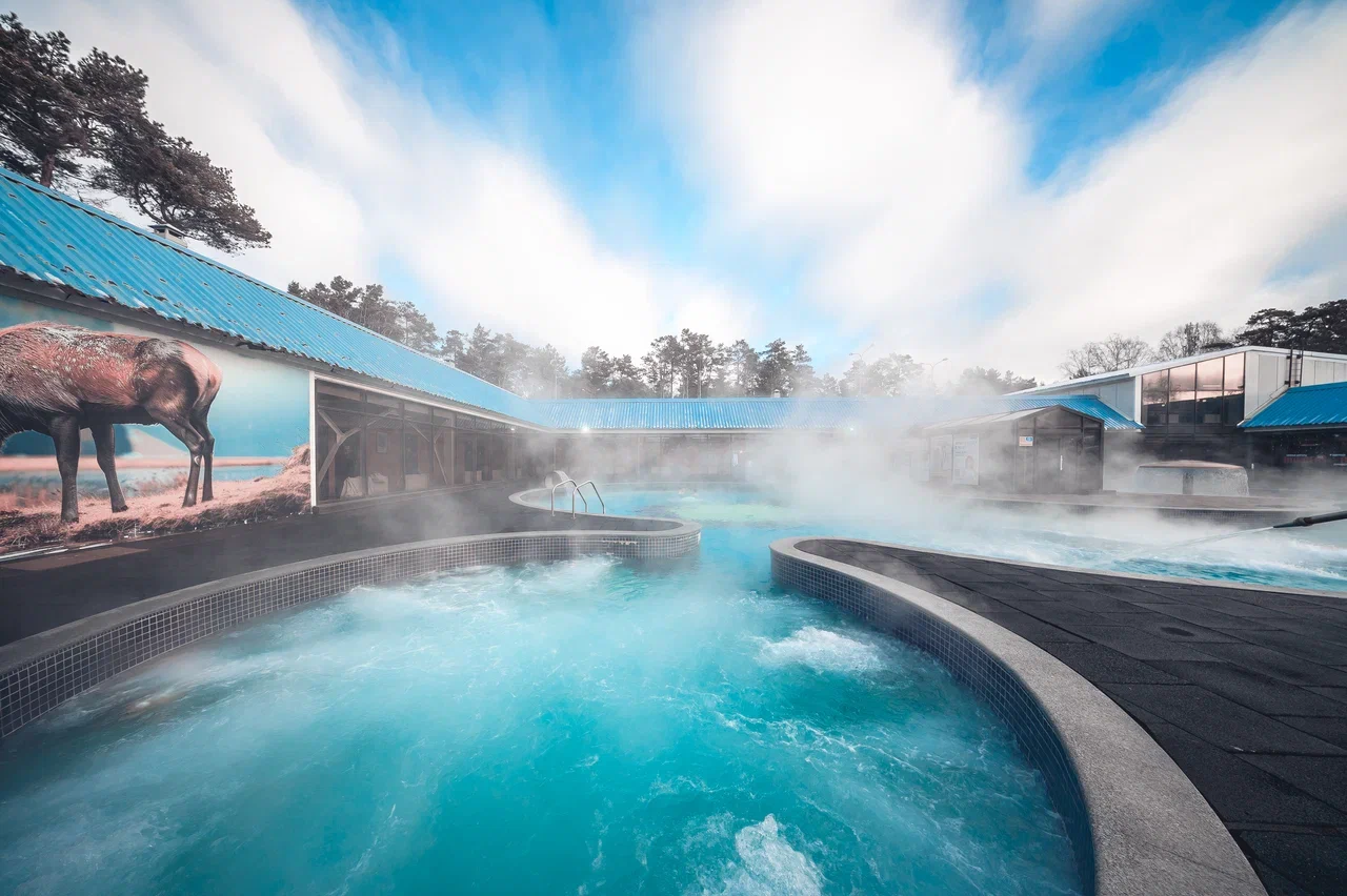 Верхний бор