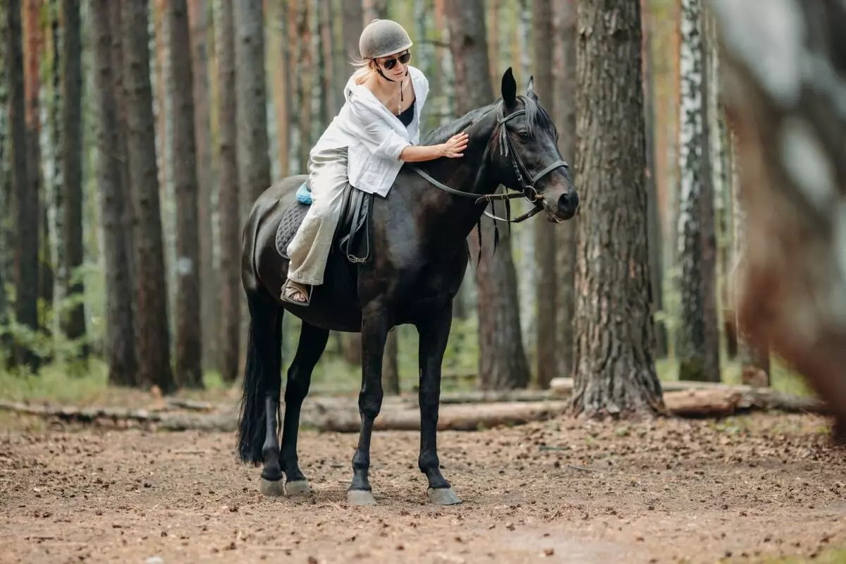 Конные прогулки 3