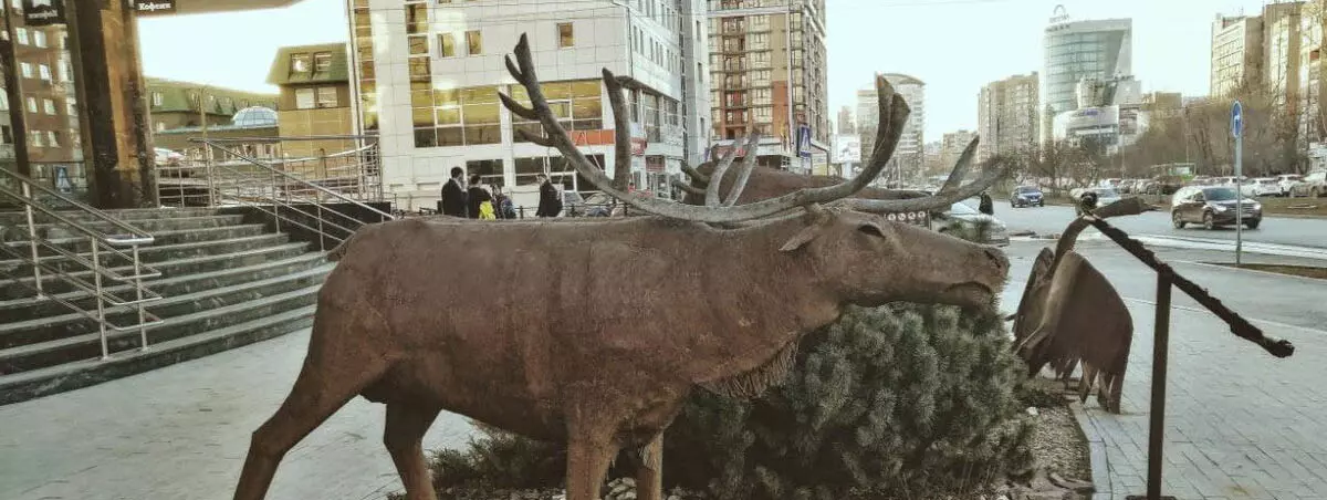 Нашла в городе арт-объекты из арктического мусора. Показываю, рассказываю их историю