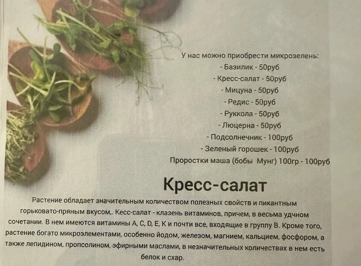 С грядки на стол 4