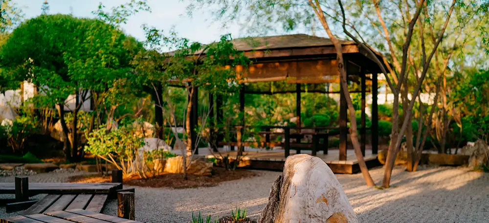 Экскурсия в «Ива-парке» - картинка 1