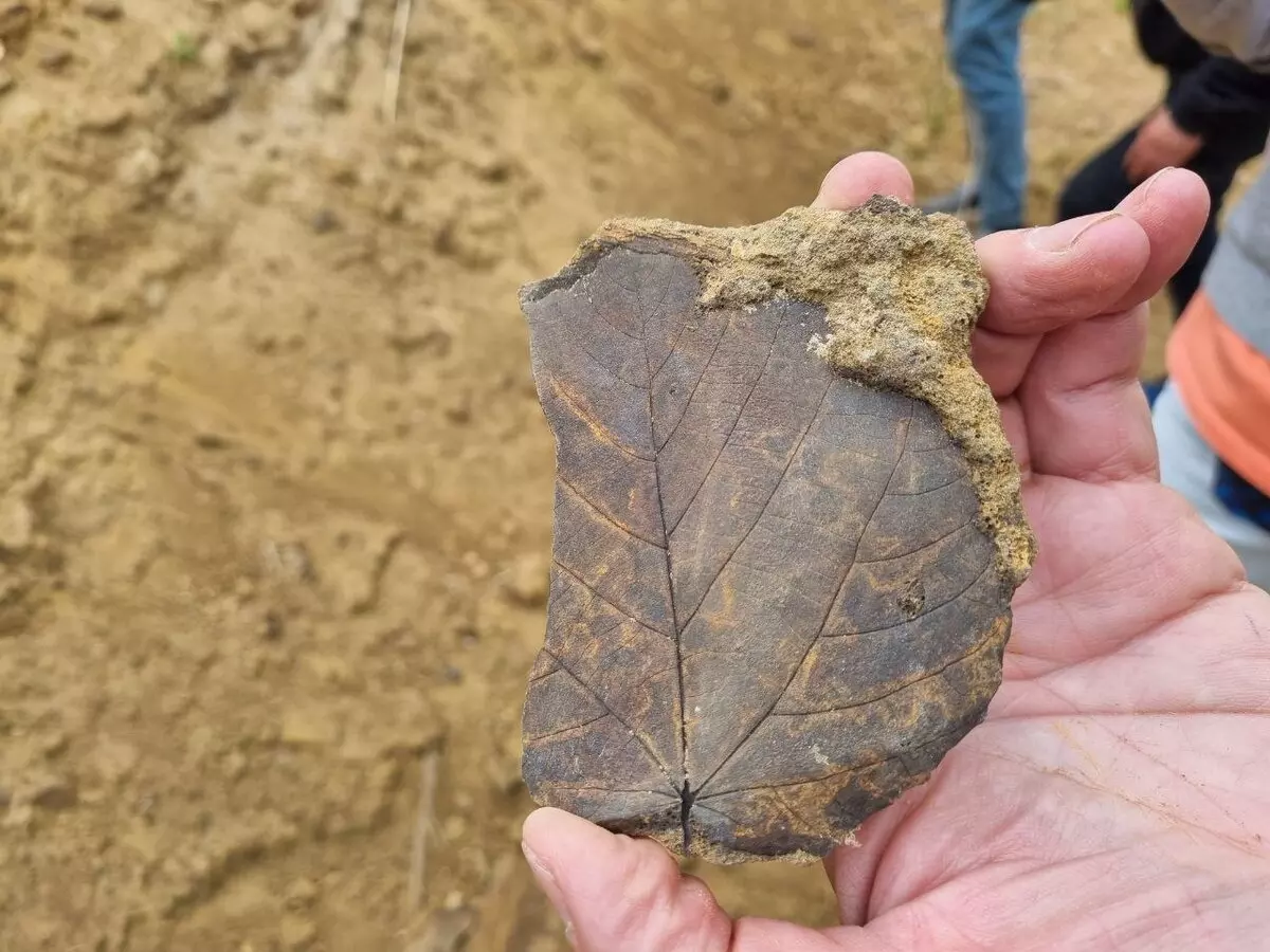 Швейцария недалеко от Тюмени 5