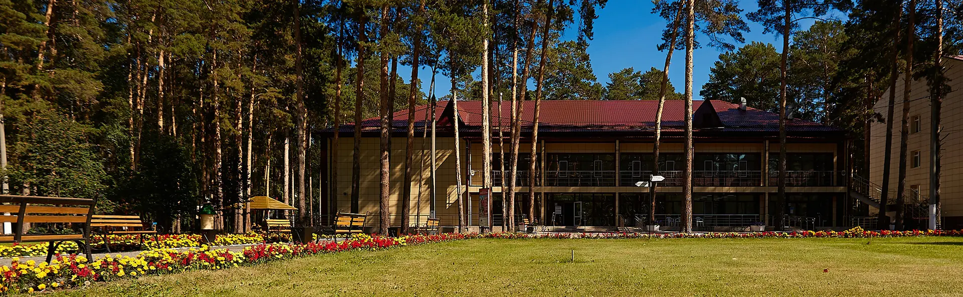 Центр оздоровления и реабилитации «Красная гвоздика»