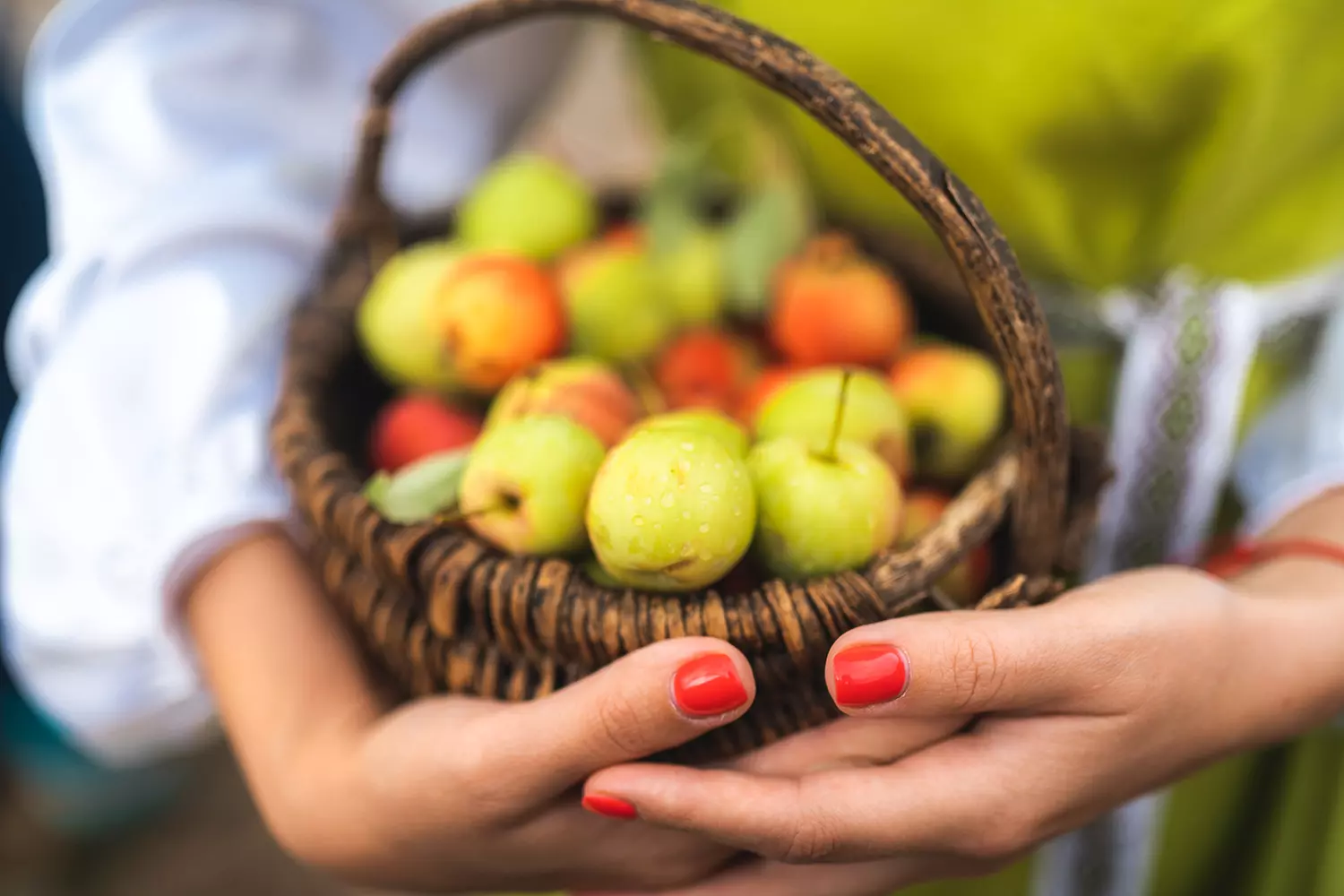 фотография - 2