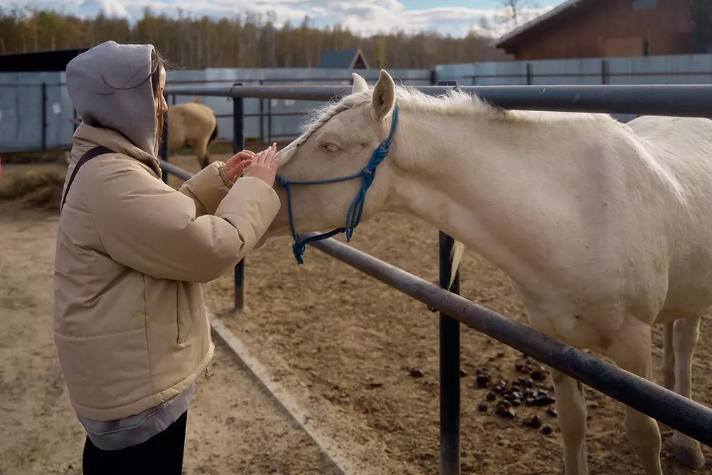 Дом-музей русских пород лошадей «Хуторъ»