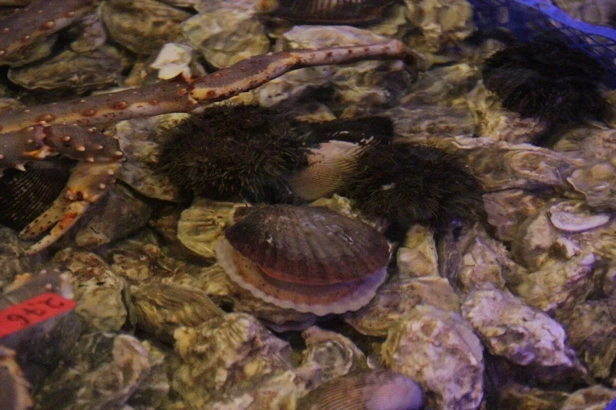 Устроила себе праздник посреди недели 3