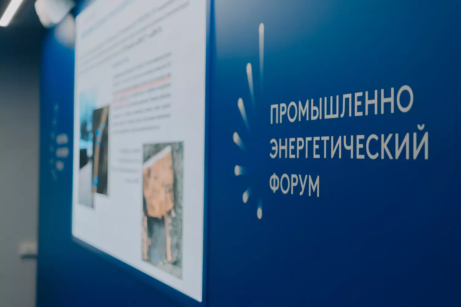 фотография - 7