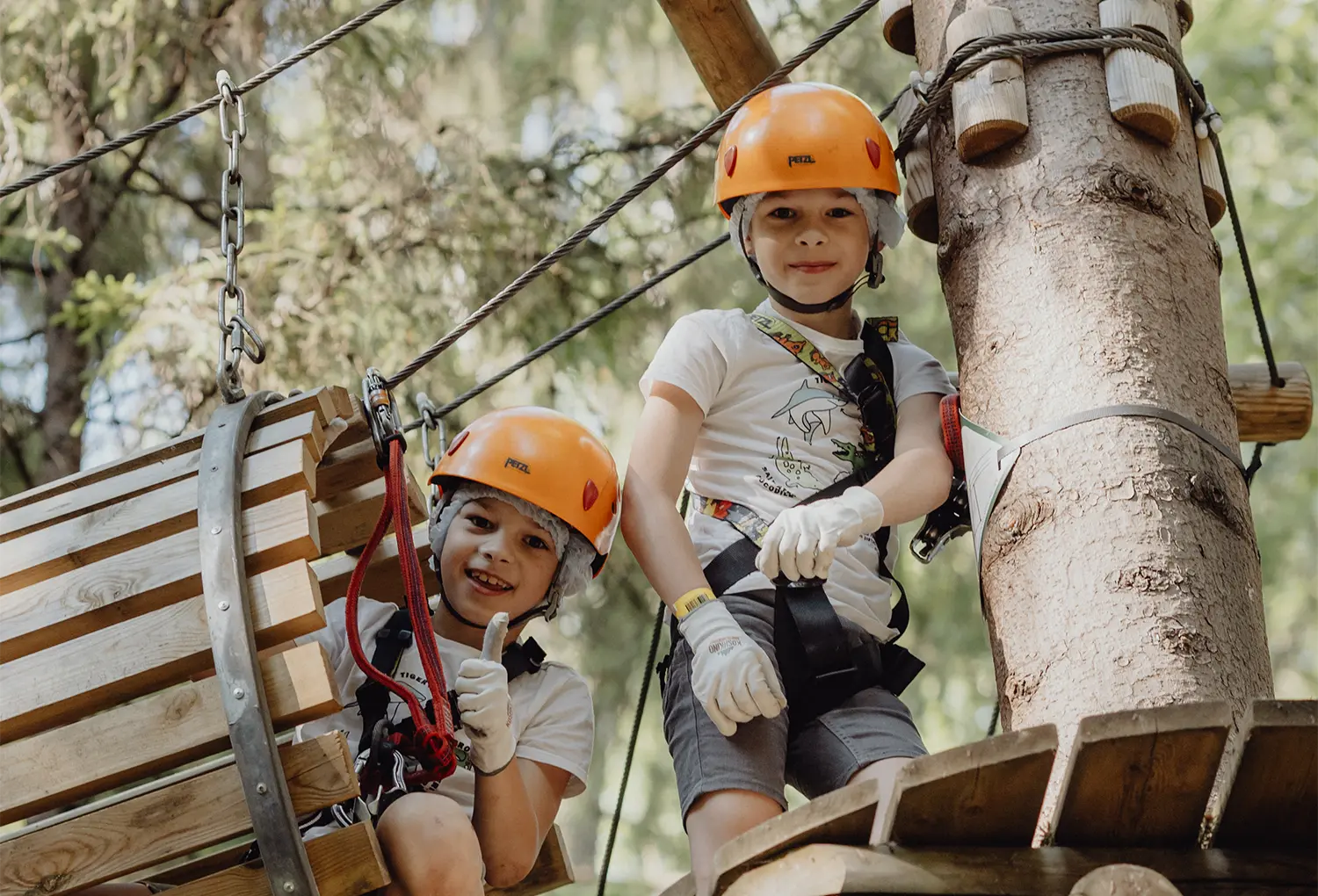Веревочный парк Sequoia Park