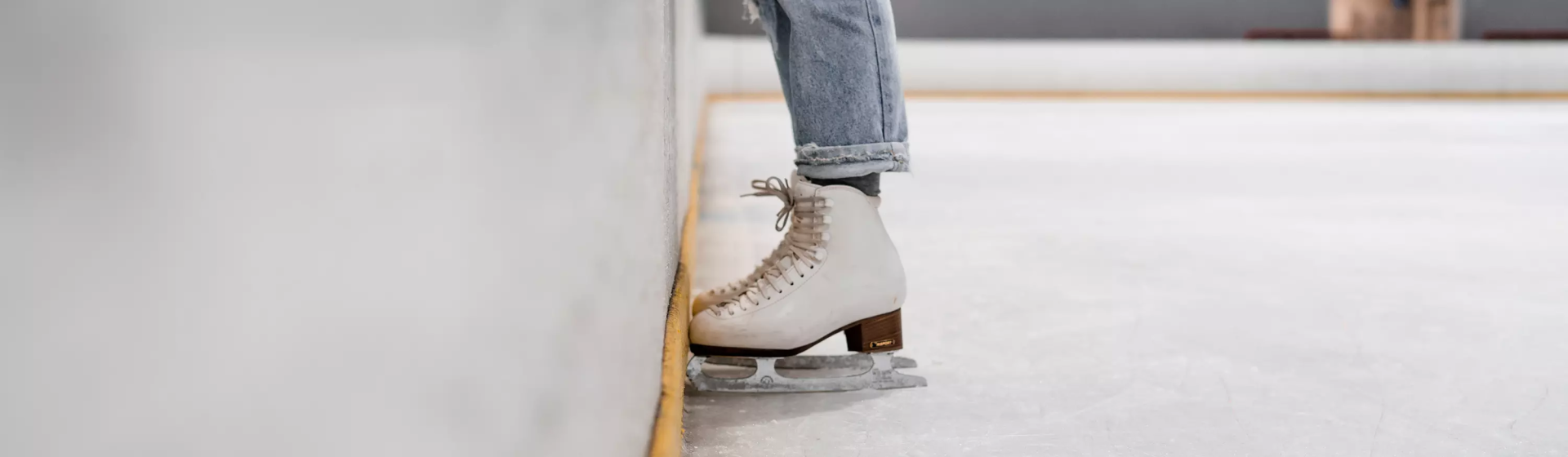 Центр хоккея и фигурного катания Ice Center DV