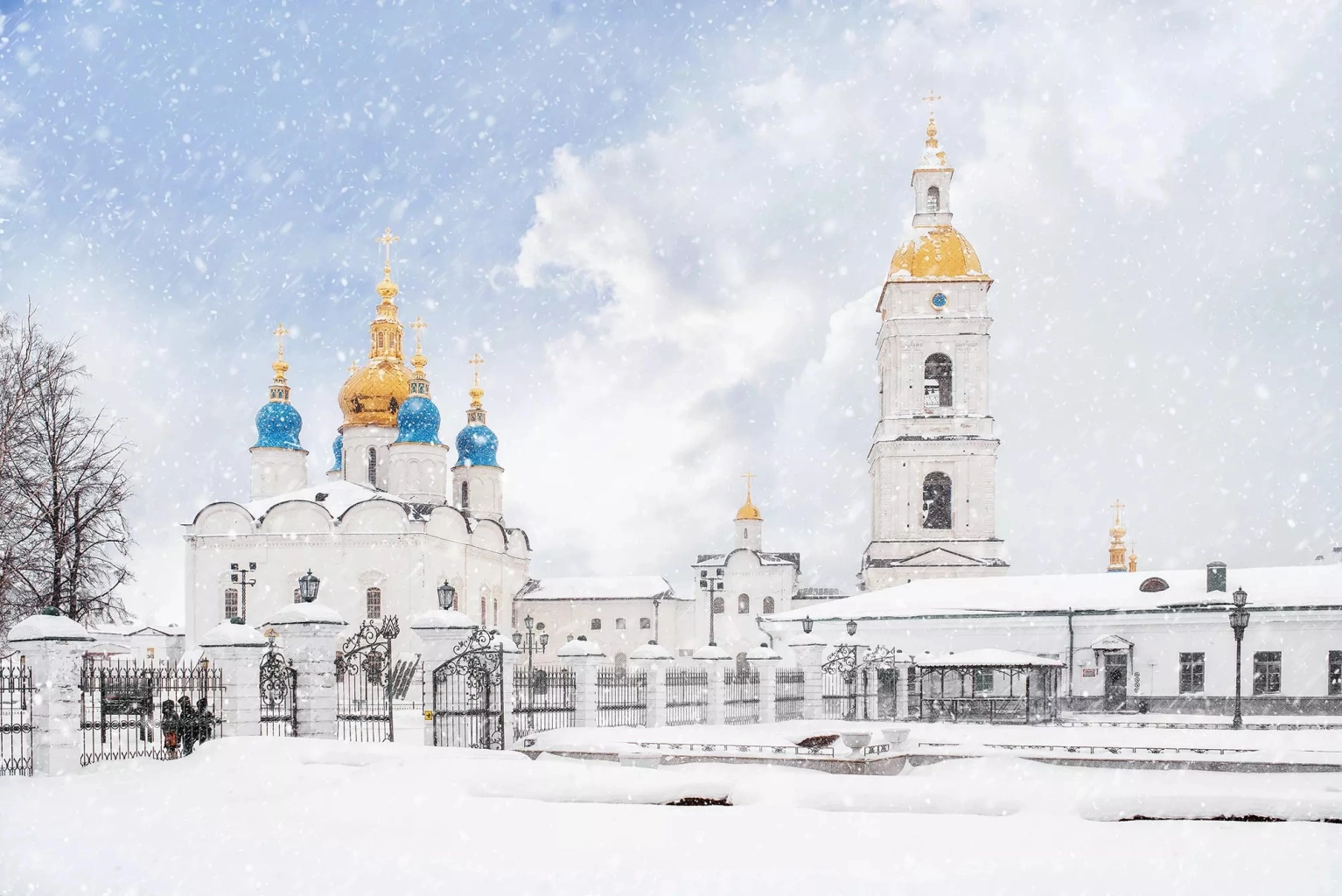 cts6dbymlb4ybmcrsx18ewntatnjcxz6 (convert.io).webp