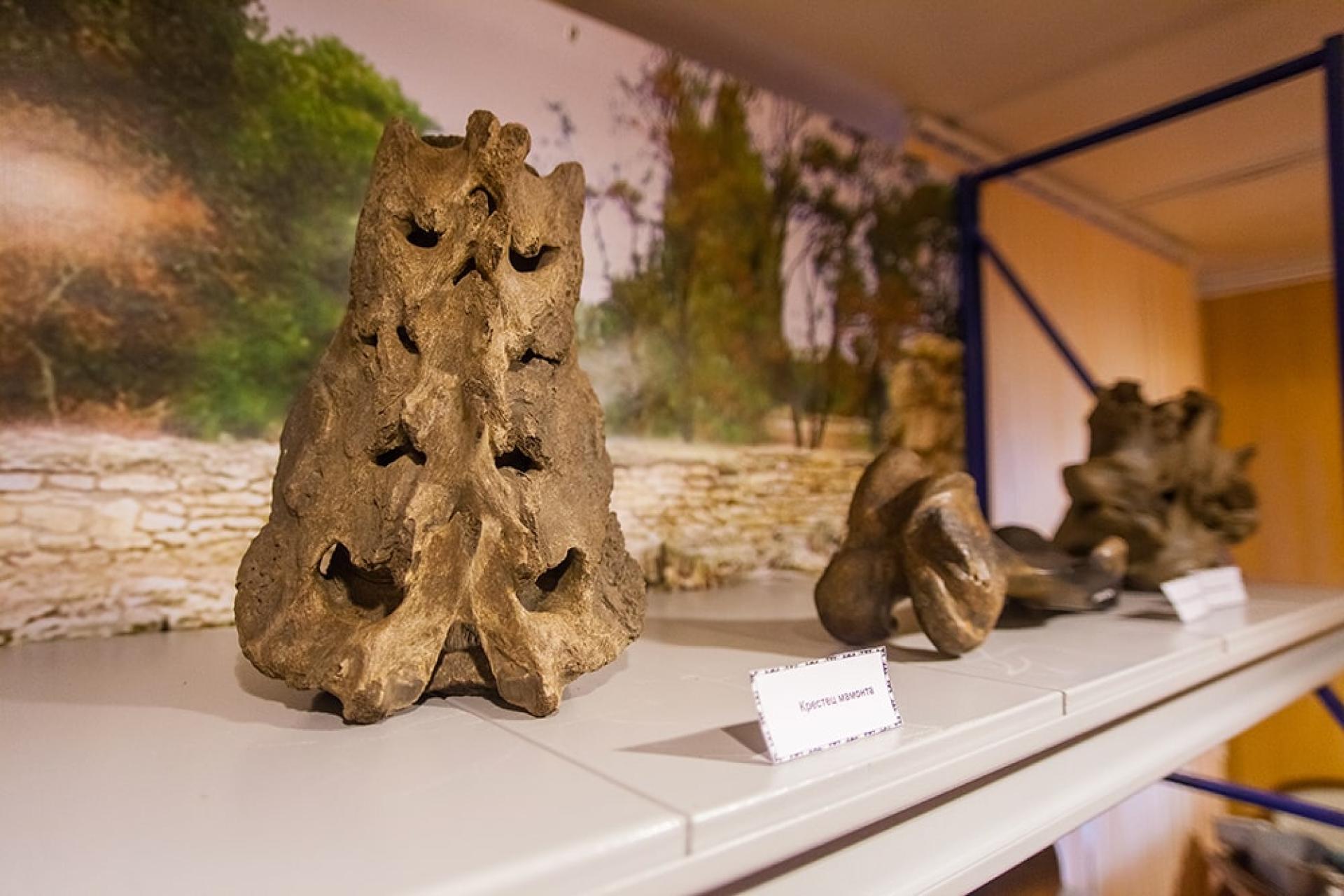 Археологический музей-заповедник на озере Андреевском