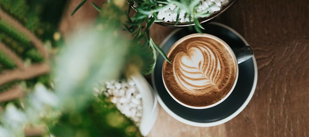                             Кофейни и кафе                          