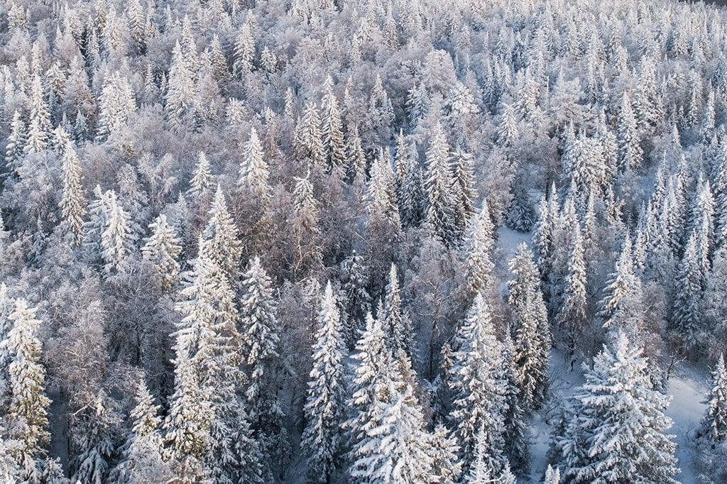                             Отдых на природе                          