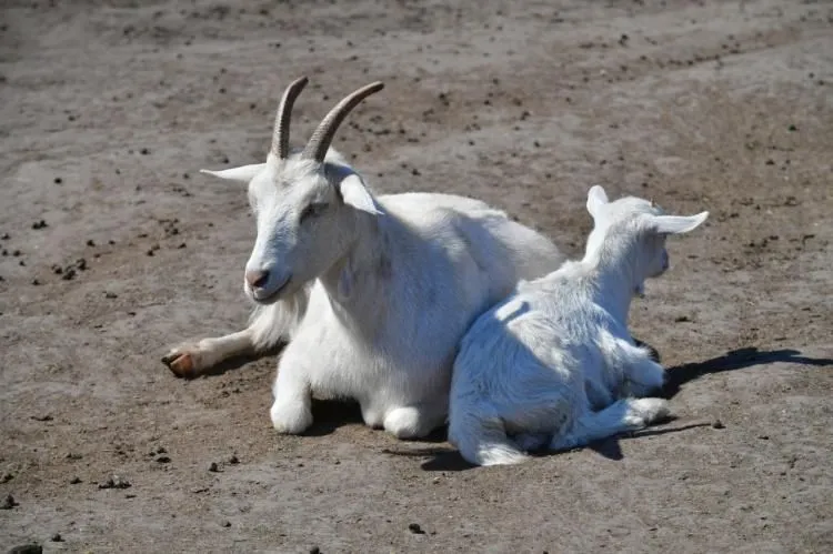 Природный парк «Юрибей»