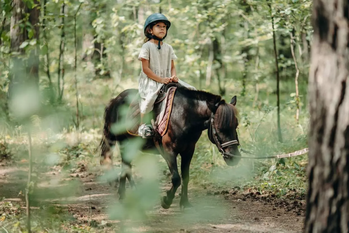 Конные прогулки 5