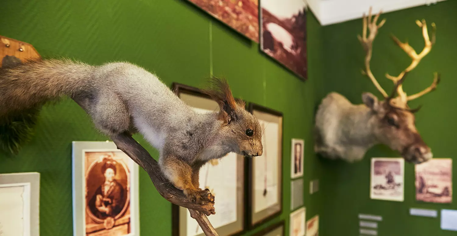 Музей истории освоения и изучения Сибири им. А. А. Дунина-Горкавича