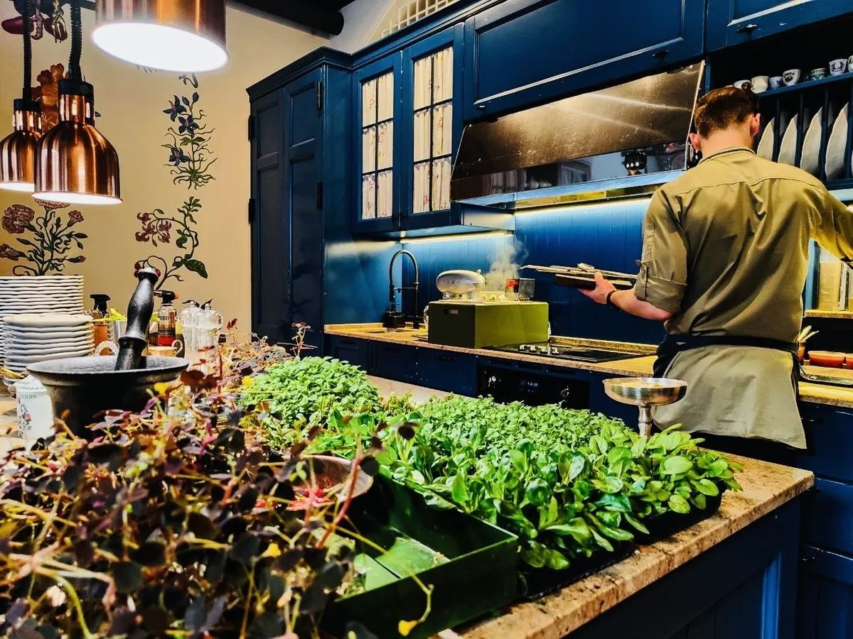 Radis в Тюмени 8