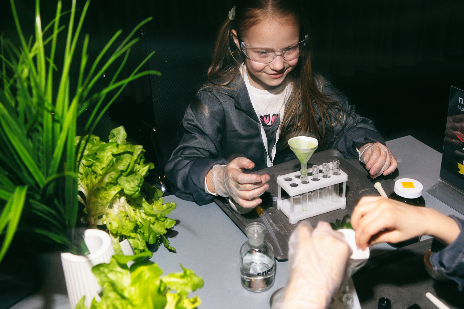 фотография - 3