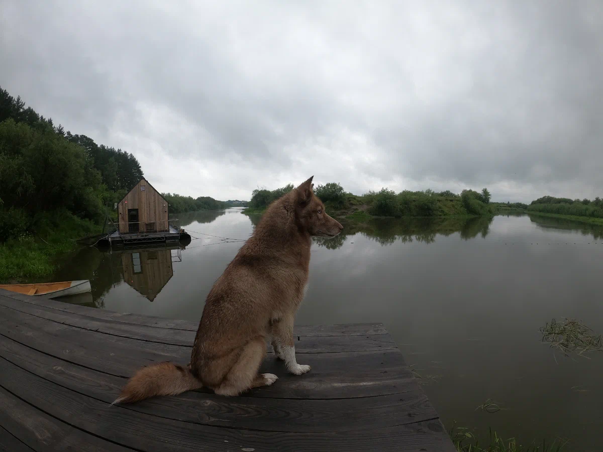 гнезкобаня2